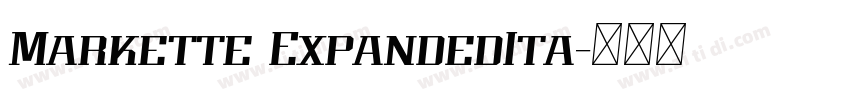 Markette ExpandedIta字体转换